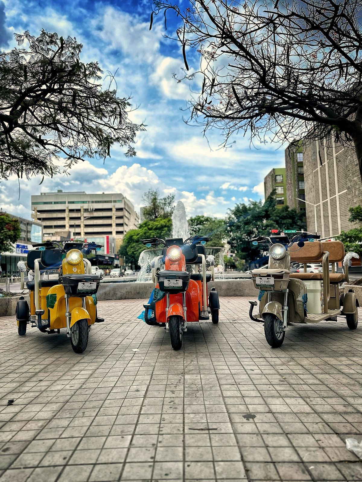 Pialli Elextrica Bicicleta y Tricicolo | Guadalajara
