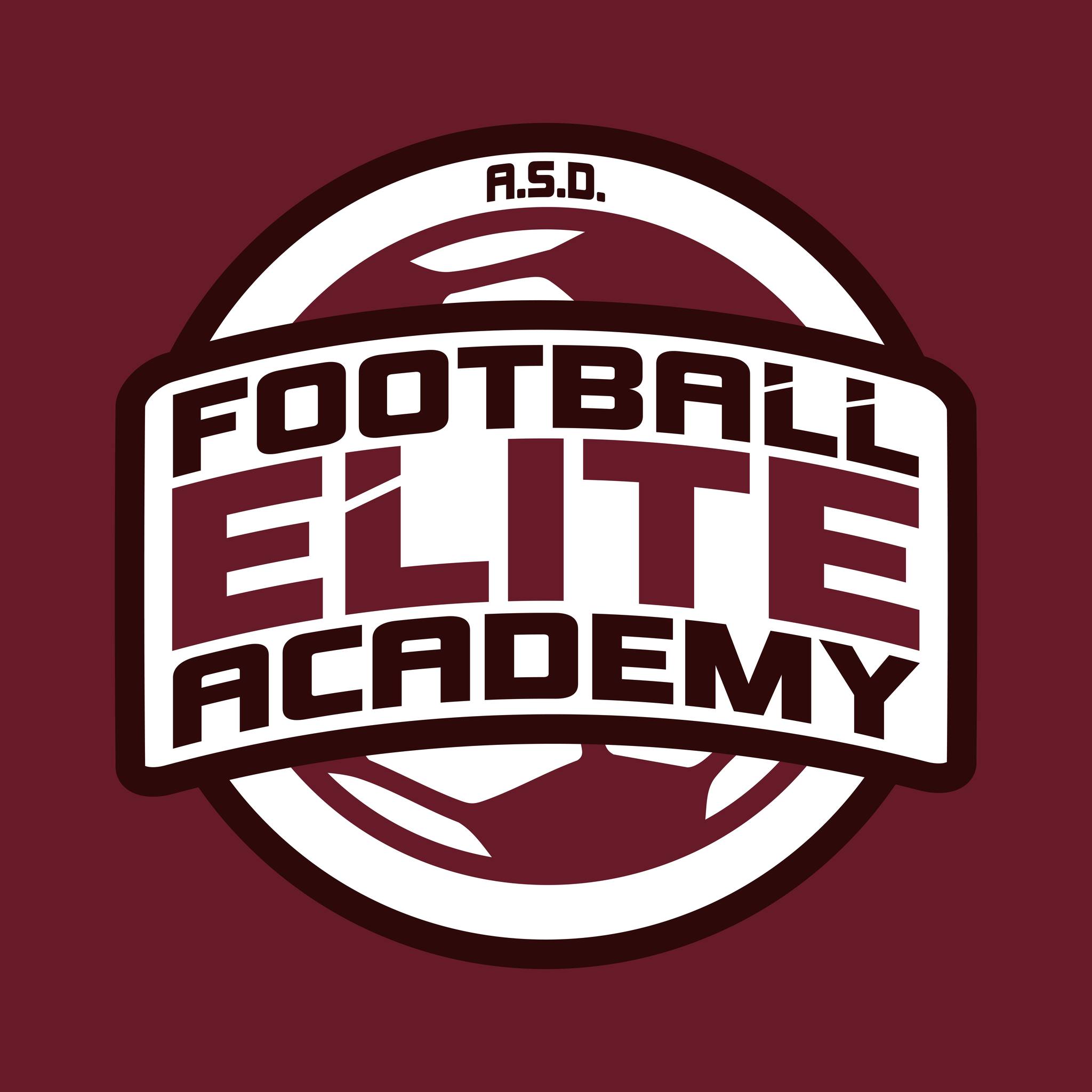 Football Elite Academy