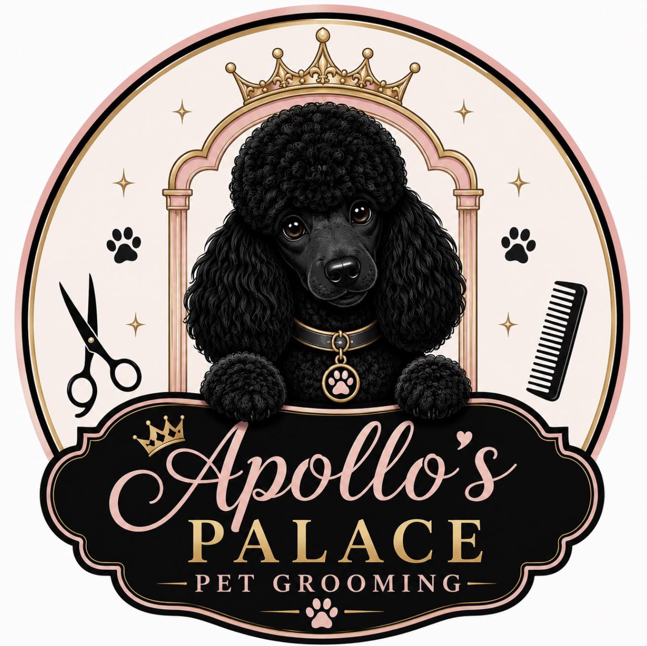 Apollo’s Palace Pet Boarding & Grooming | Brewton AL