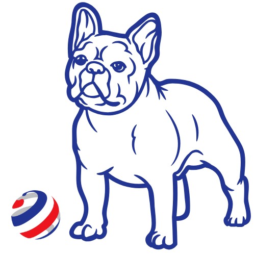 BluJax Accountants | Wildwood FL