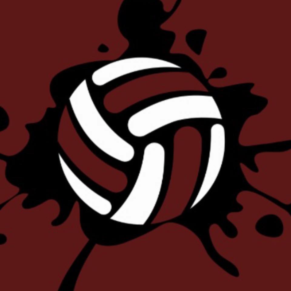 Ray HS Volleyball