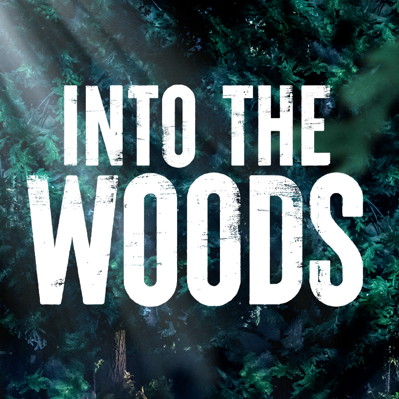 Into The Woods