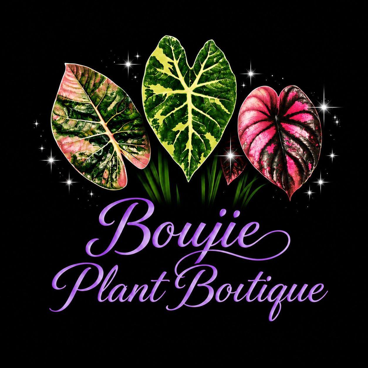 Alocasia Lovers | Why is my Fluval and perlite mix molding | Facebook