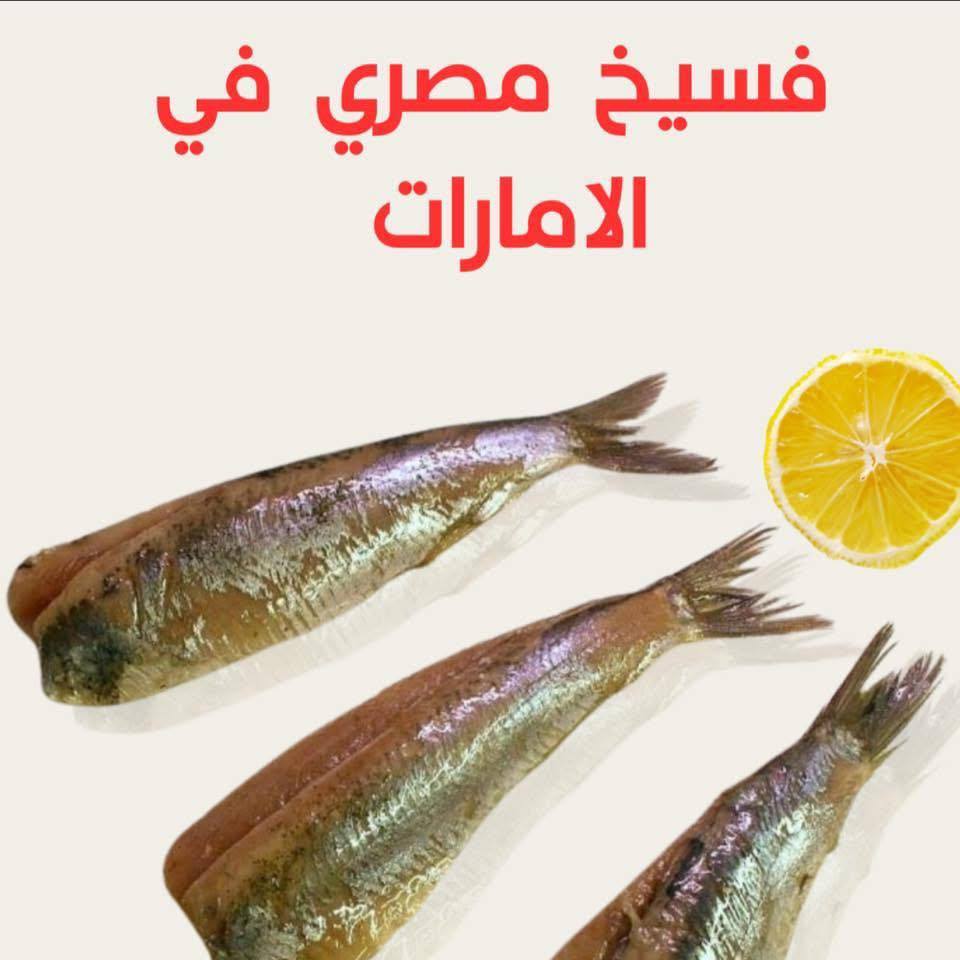 فسيخ مصري بيتي