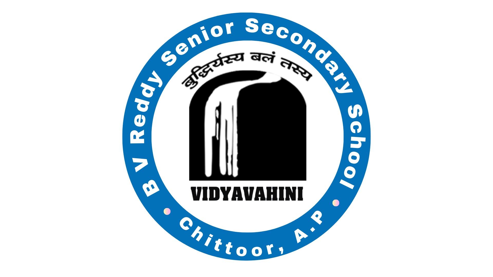 B V Reddy School