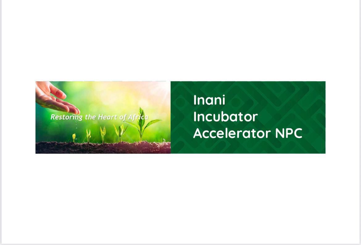 Inani incubator accelerator | Randburg