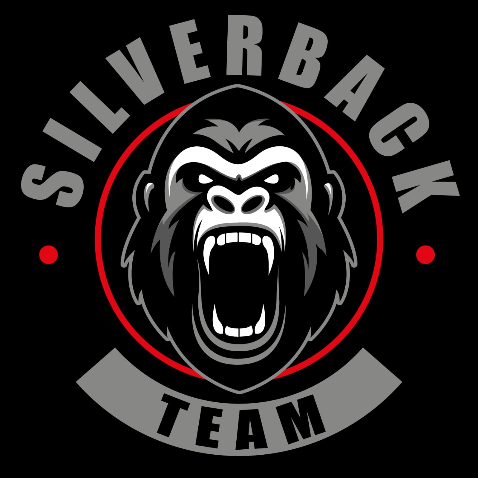 Silverback Team | Santa Cruz de la Sierra