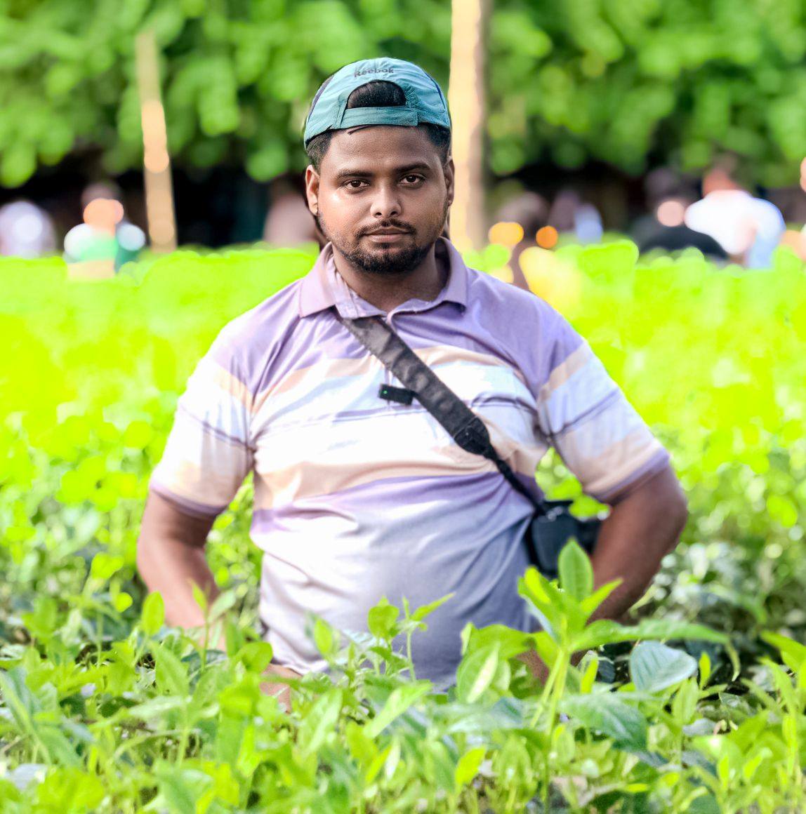 Milon vai official 49