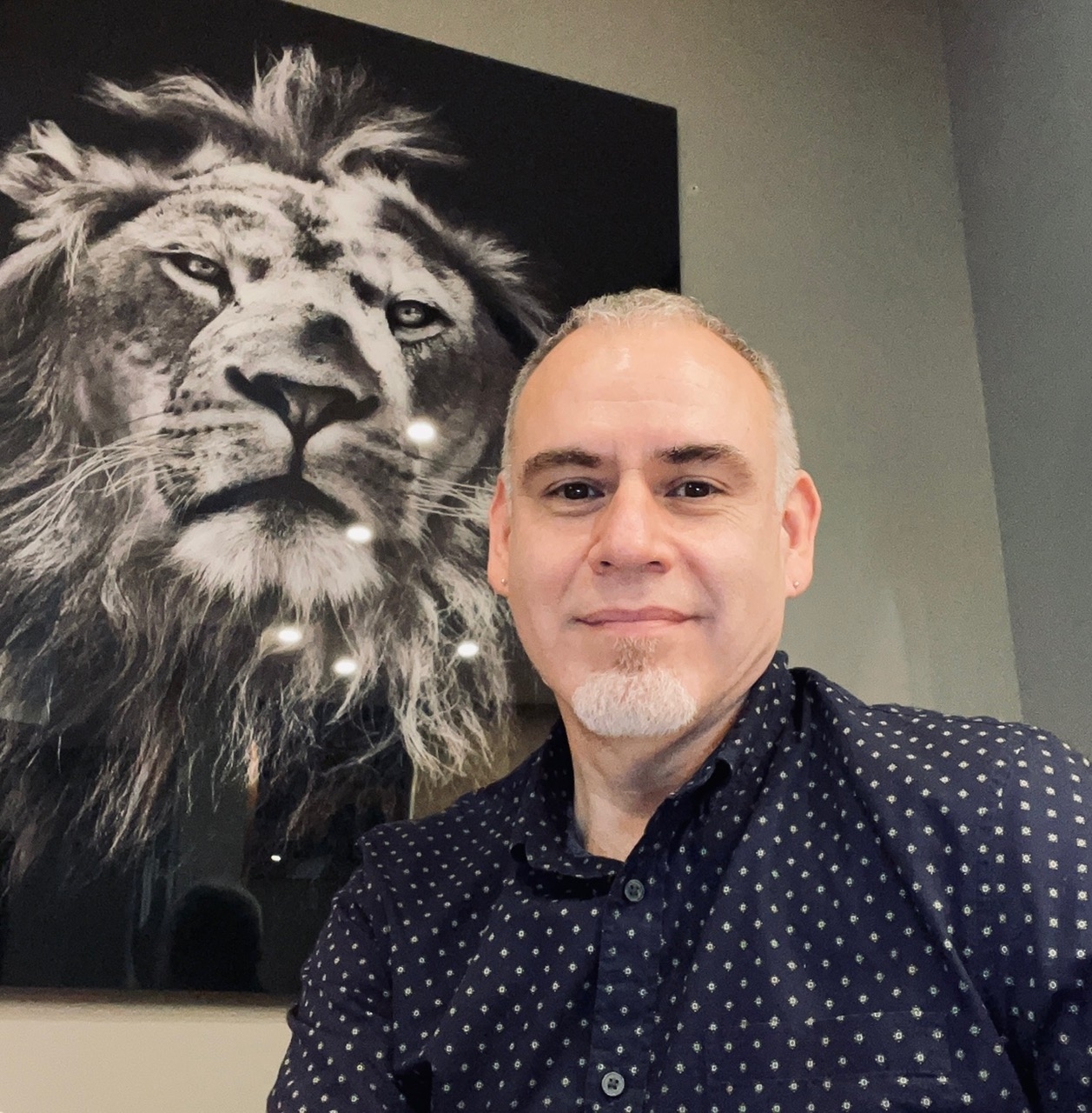 Meraz Design Studio LLC | Brooklyn NY