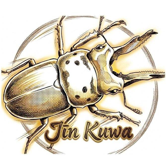 Immortal Insect | Chiang Rai