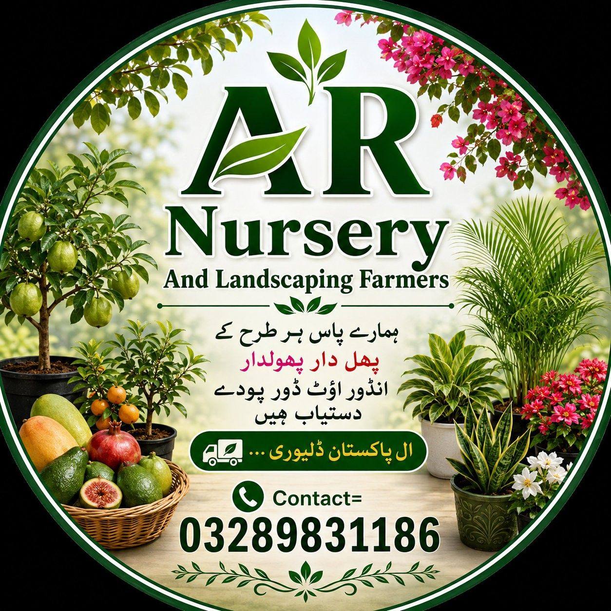 Pattoki Nursery And Landscaping Farmers | Pattoki