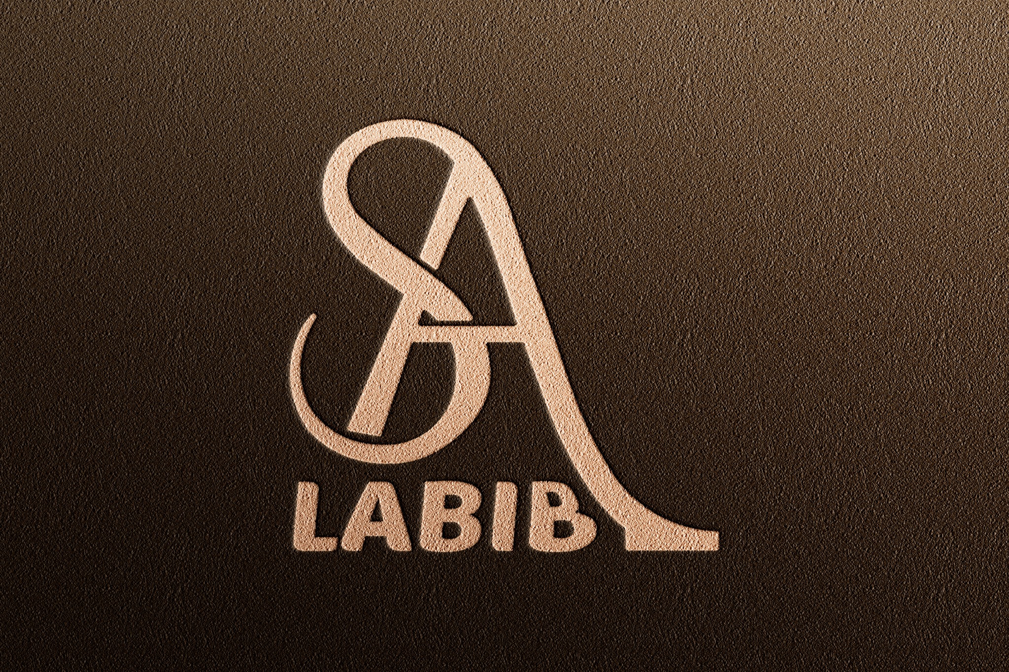 Sa Labib | Dhaka
