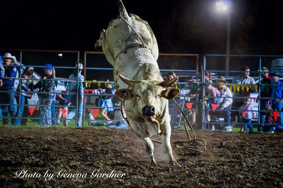 Attunga Downunder Rodeo