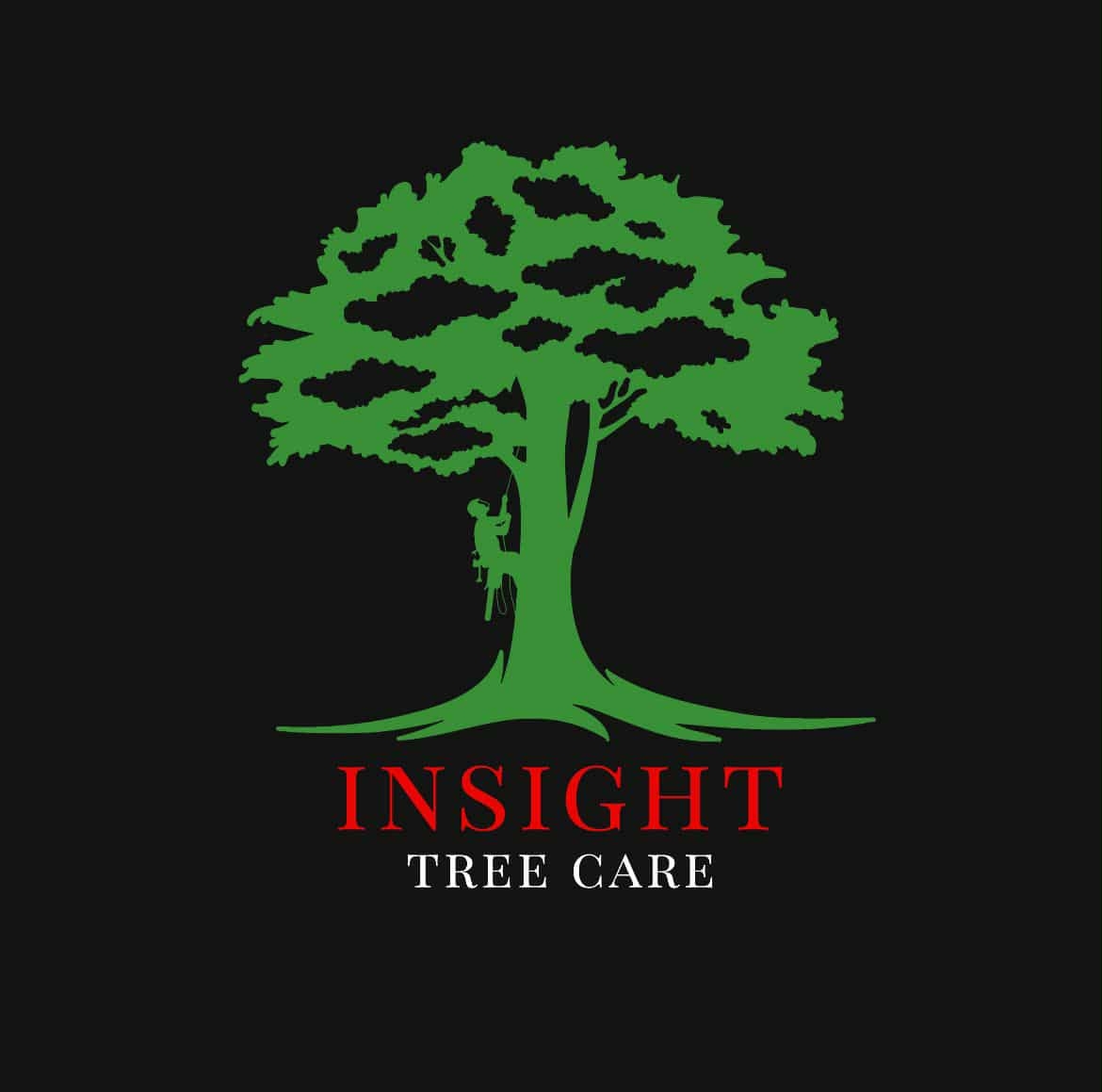 Insight Tree Care | Essex MD