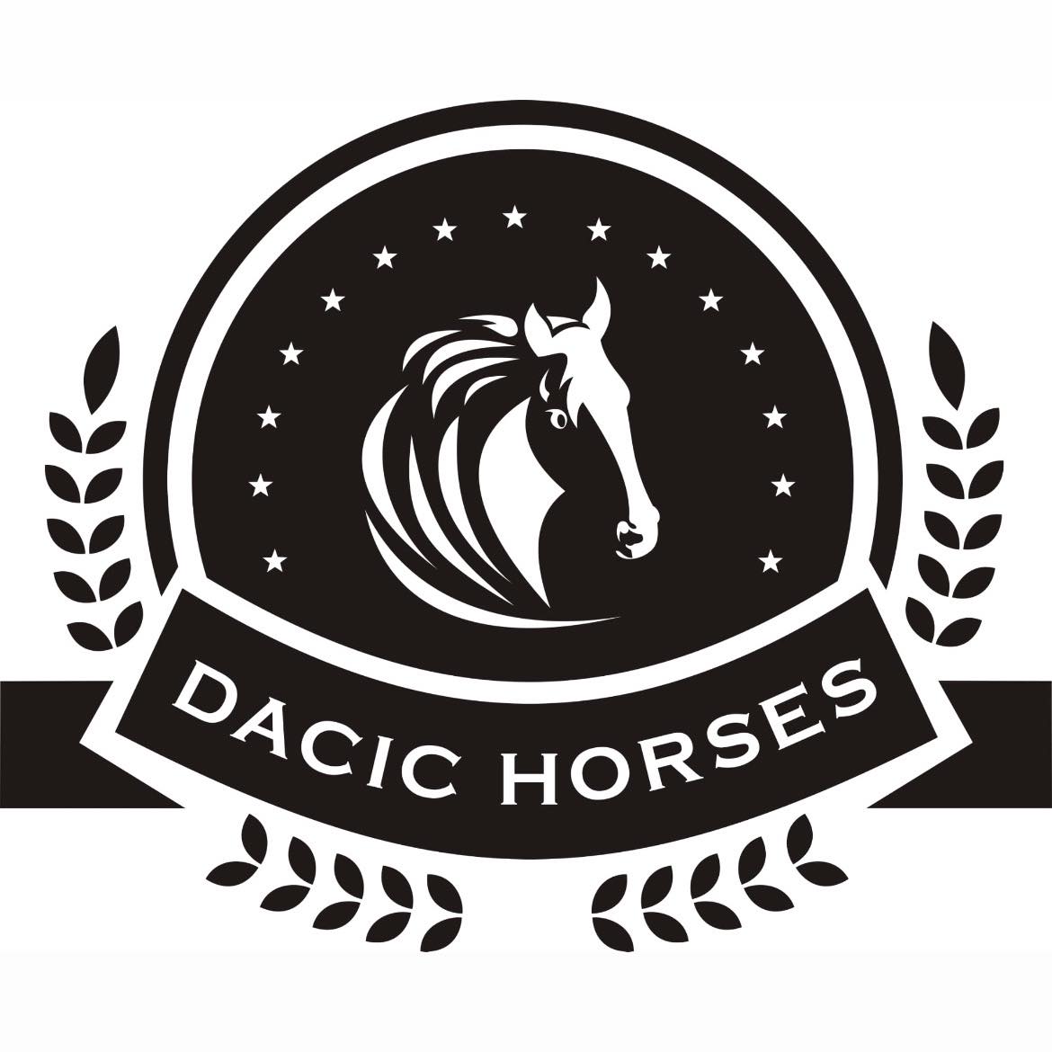 Dacic Horses - Drumeții Ecvestre | Orastie