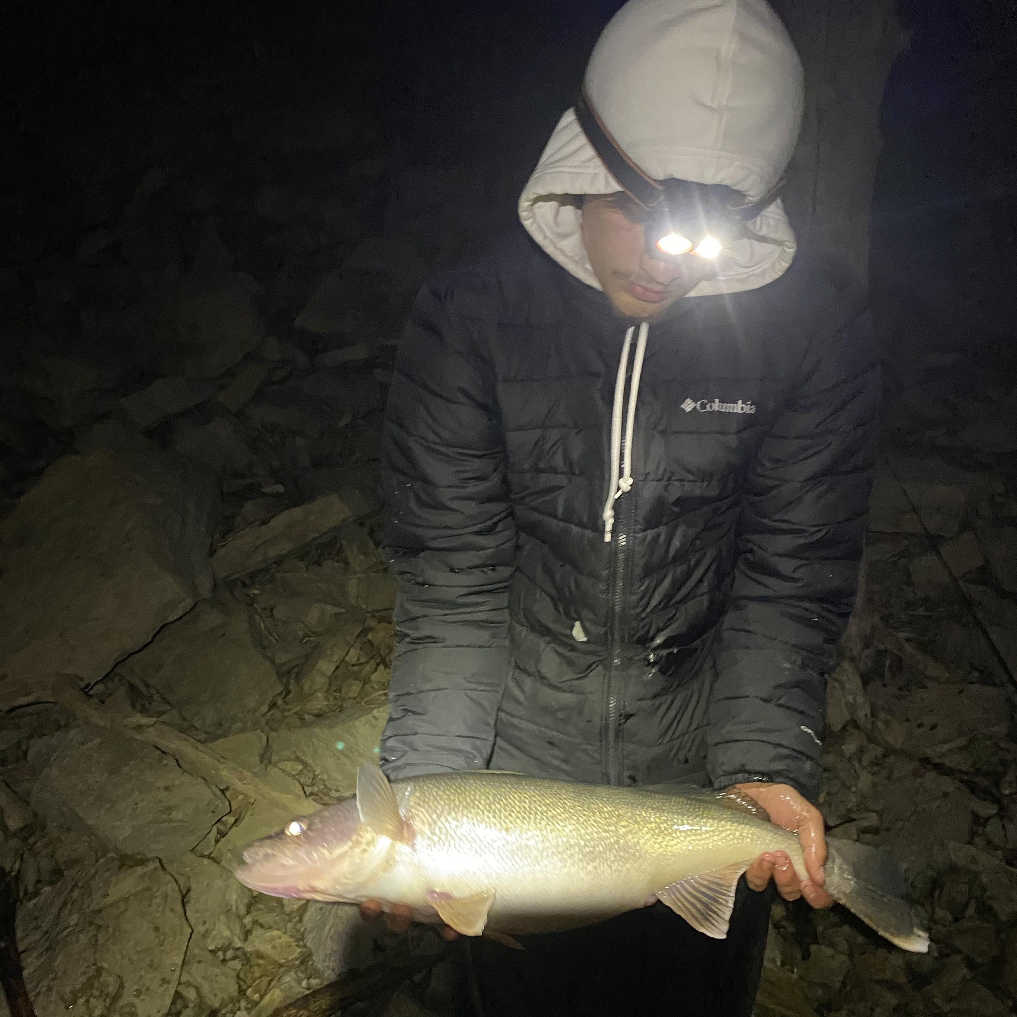 Port Washington salmon fishing | Must be lot of sick guys today | Facebook