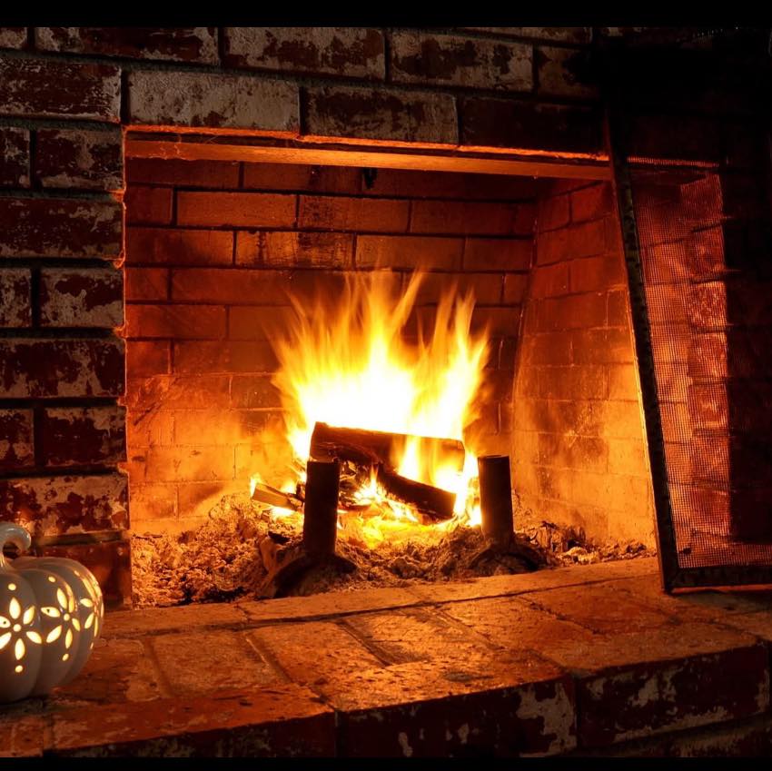 Randy Fire Wood