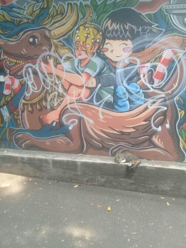 Baca doa ini agar orangtua kita terleoas dari siksa kubur guys #kucing ...