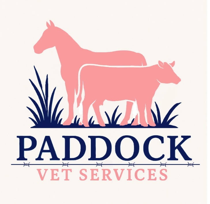 Paddock Vet Services | Agnes Water QLD