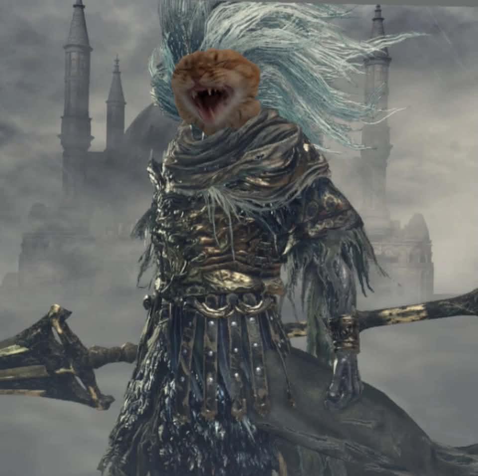 There are a total of 19 different Black Knife Assassins in Elden Ring ...