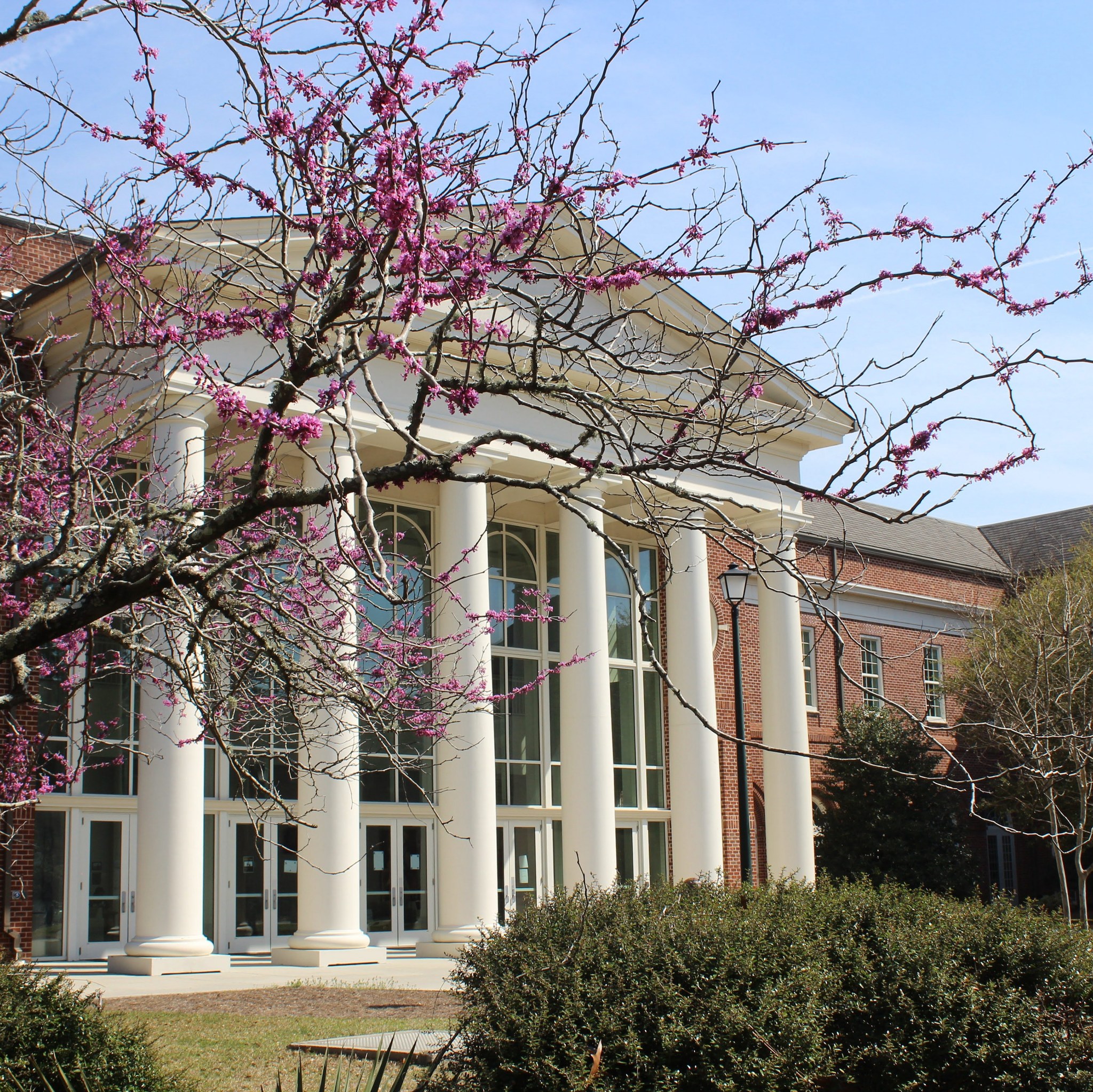 Uncw Spring Senior Exhibition