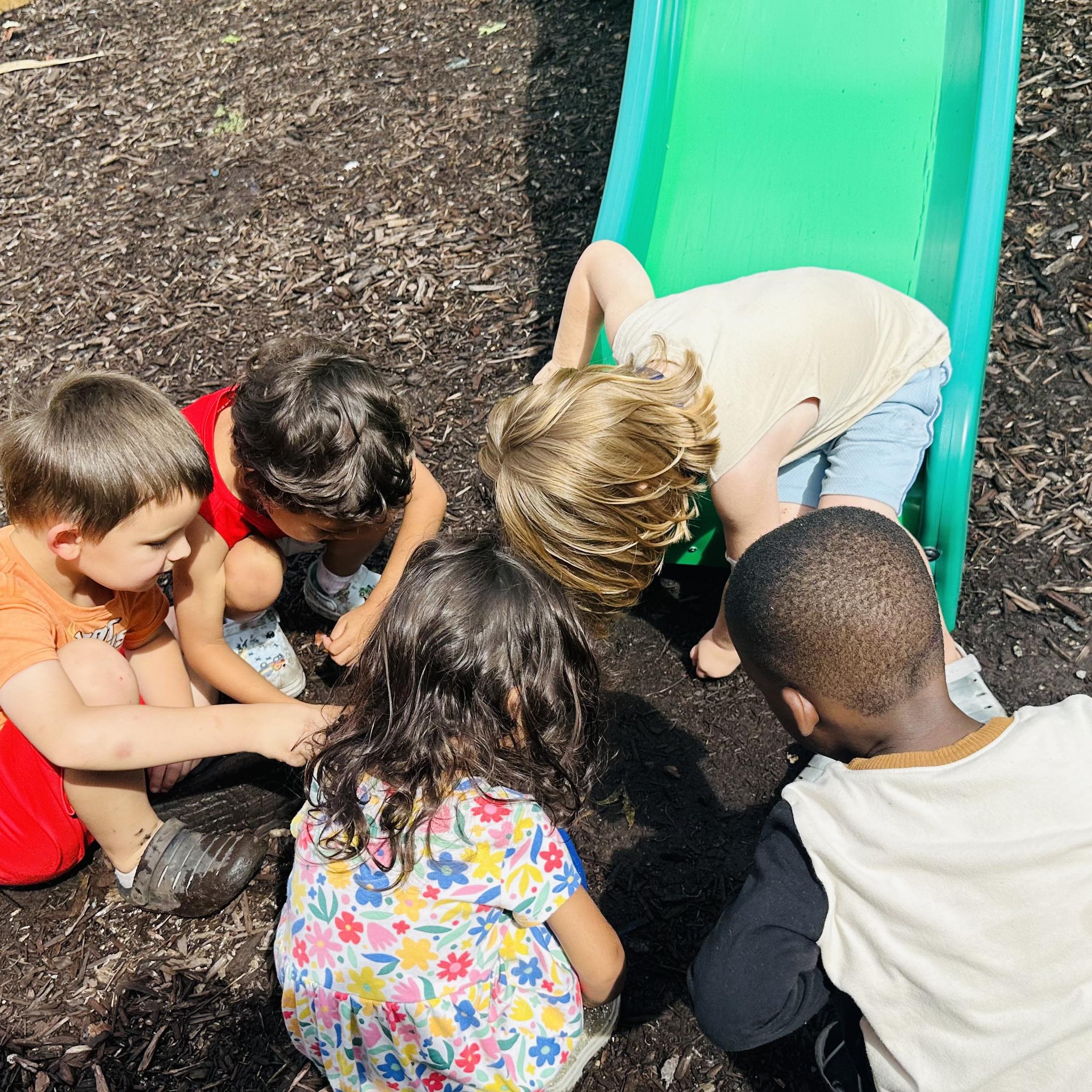 Our classroom has been filled with color, joy, and meaningful learning ...
