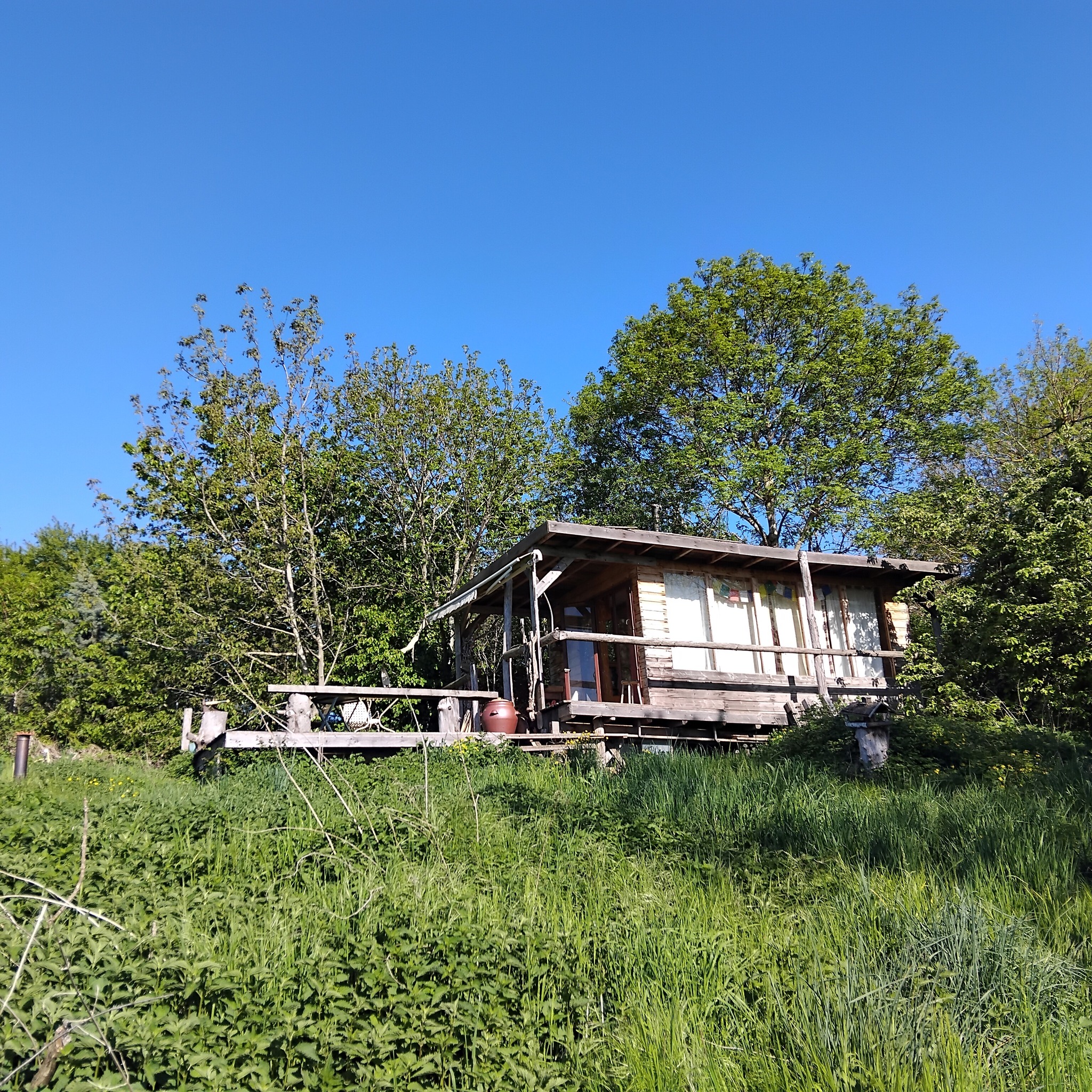Joyeux anniversaire à notre Caro, paysanne à la Ferme du Valfleury et ...