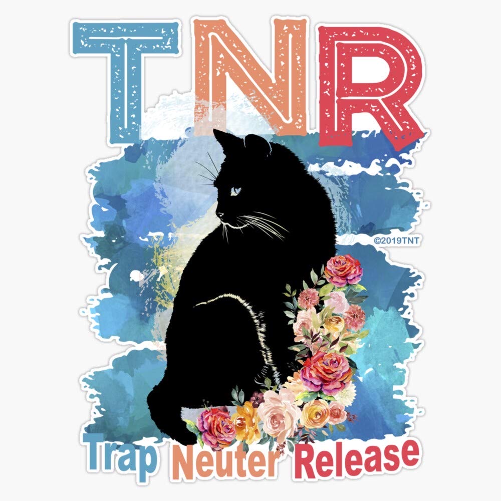 Broward Community Cats - TNR and Feral Cat Help Only | What vets don't ...