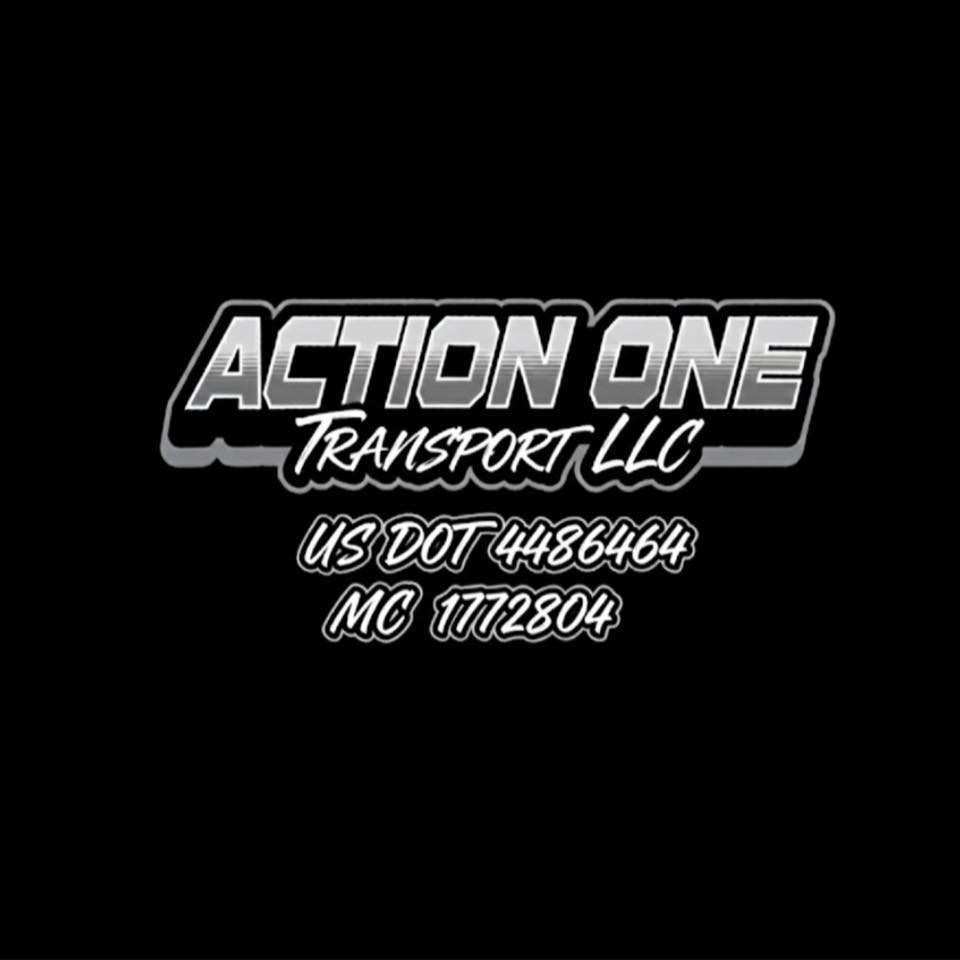 Action One Transport LLC | Detroit MI