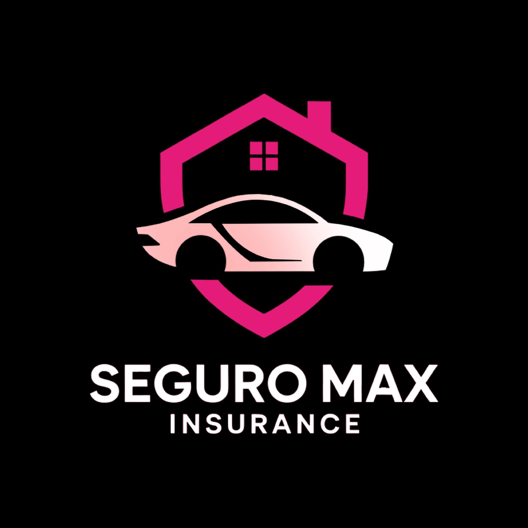 Seguro Max Insurance - Washington