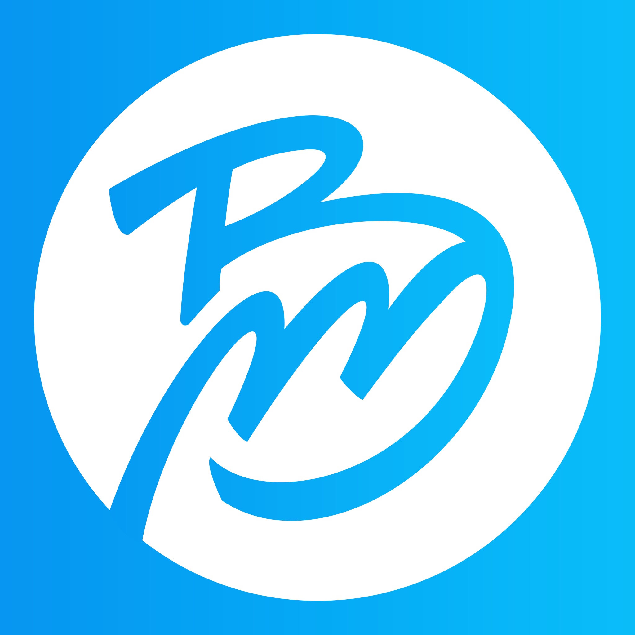 BM Digital Services