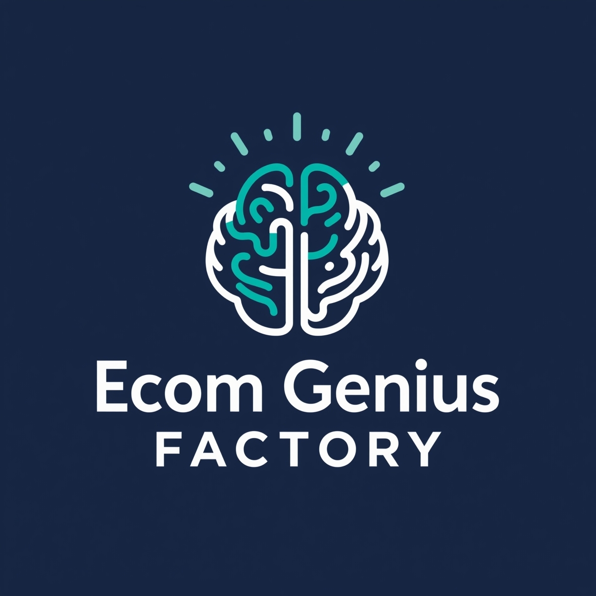 Ecom Genius Factory