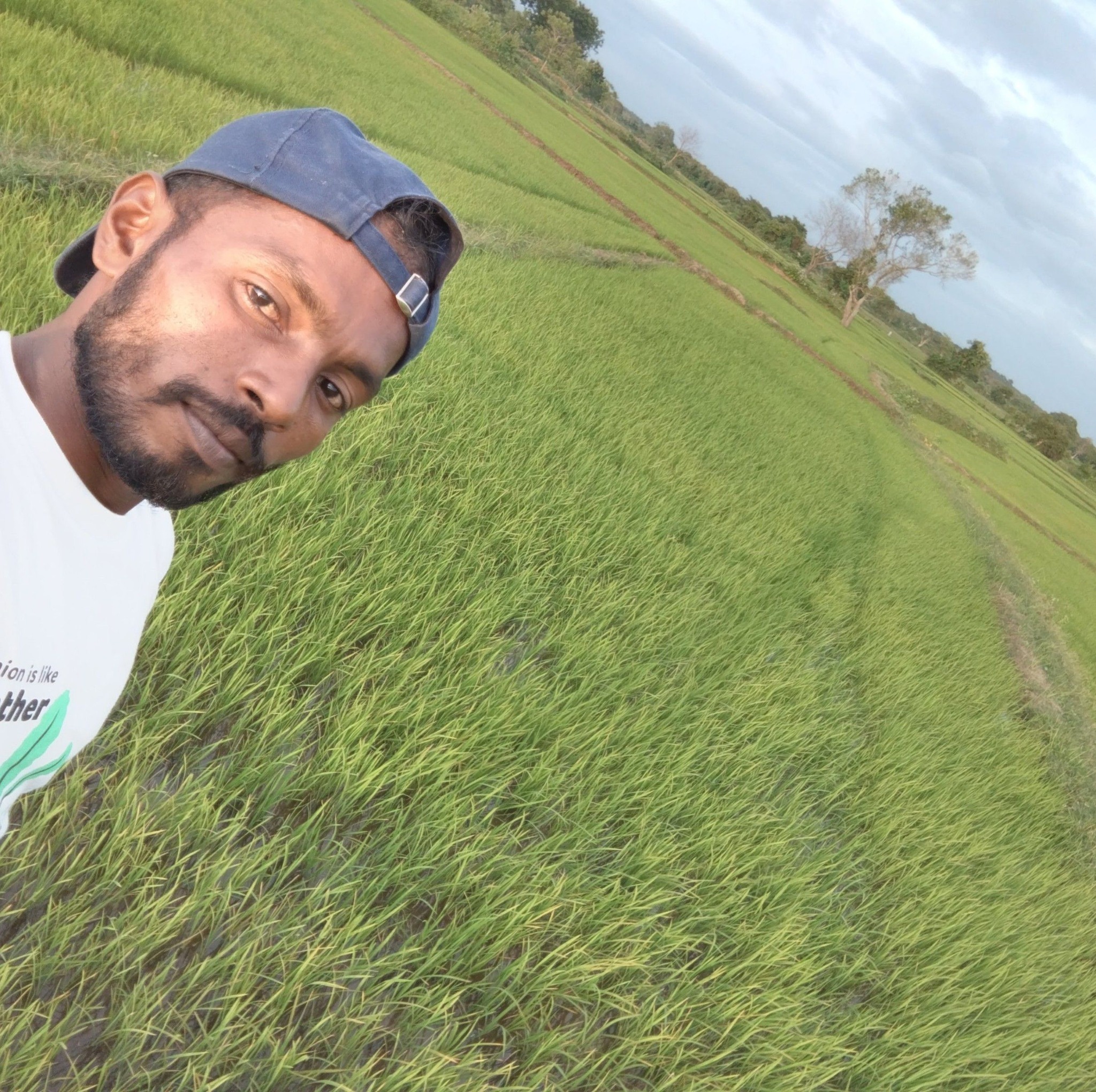 #FishingWithSuresh 🎣 බිලී පිත්තෙන් අල්ලපුවා 🐟🐟 #SriLankaLakeFish ...