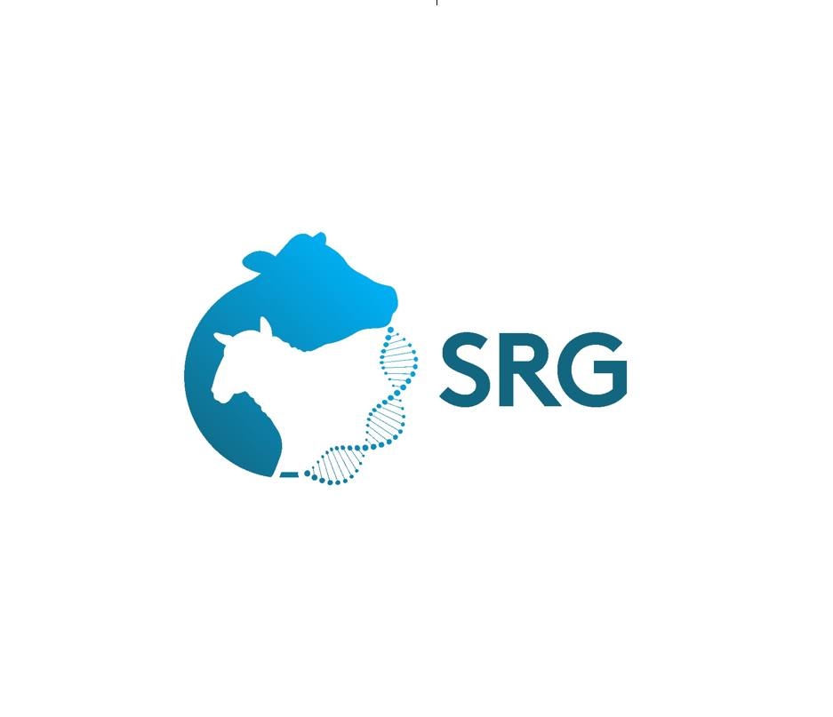 SRG NI - Coming soon on BBC news! The Bovine Genetics... | Facebook