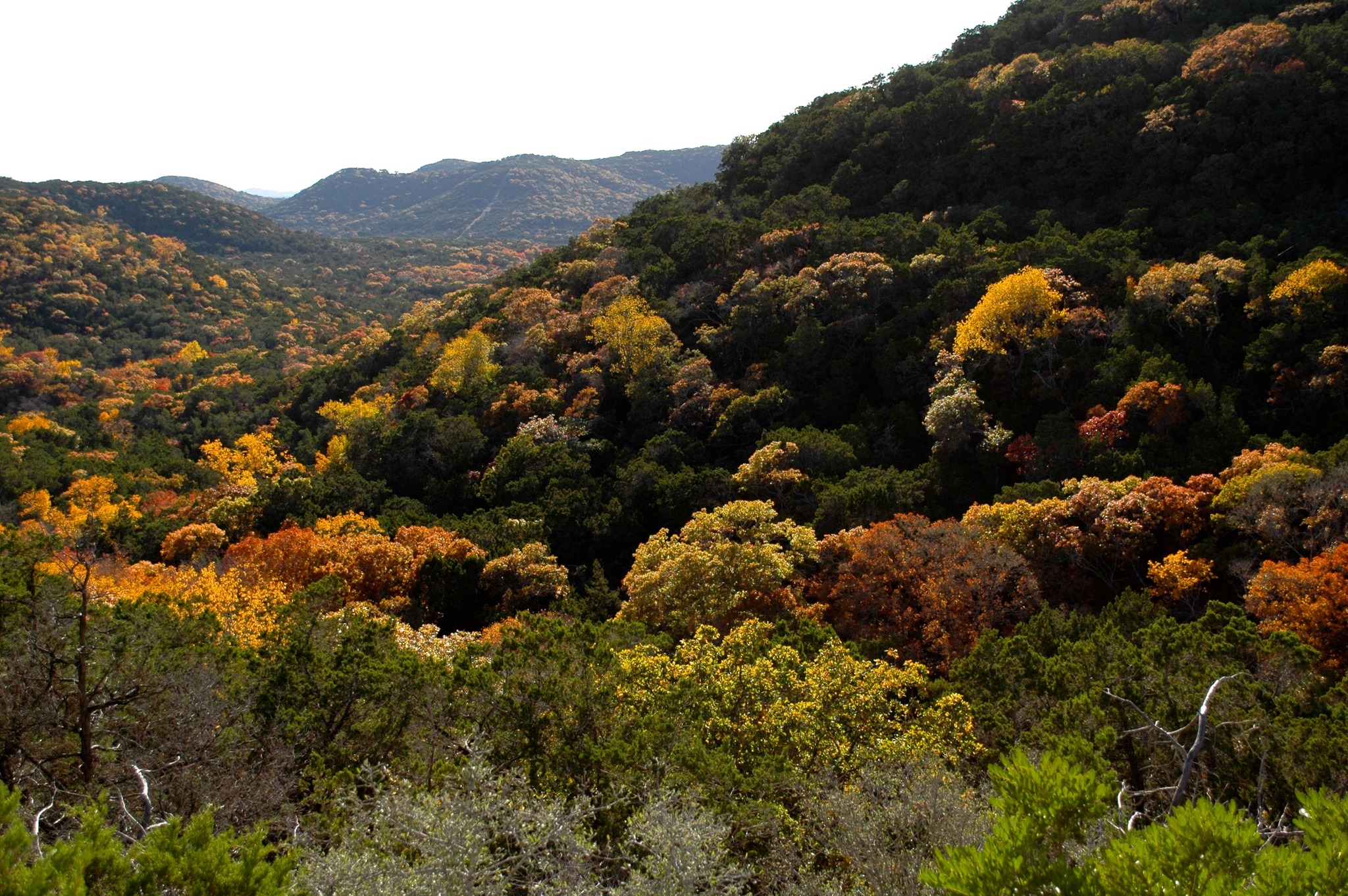 Albert & Bessie Kronkosky State Natural Area | Pipe Creek TX