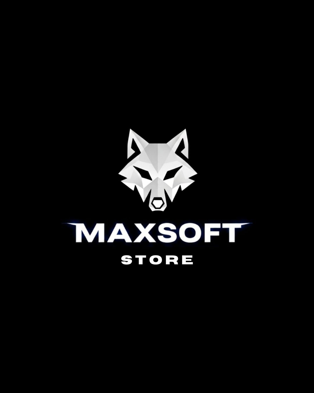 MAXSOFT STORE
