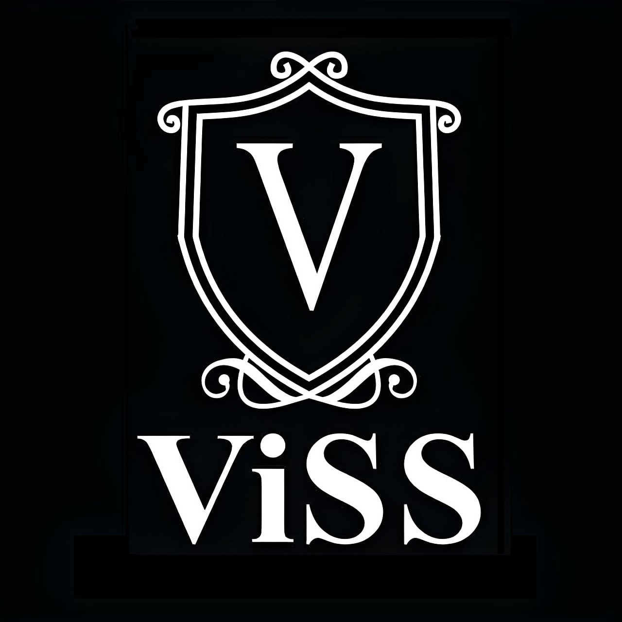 VISS | Shebin al-Kom