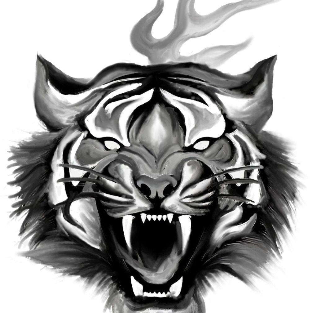 猛虎Tiger