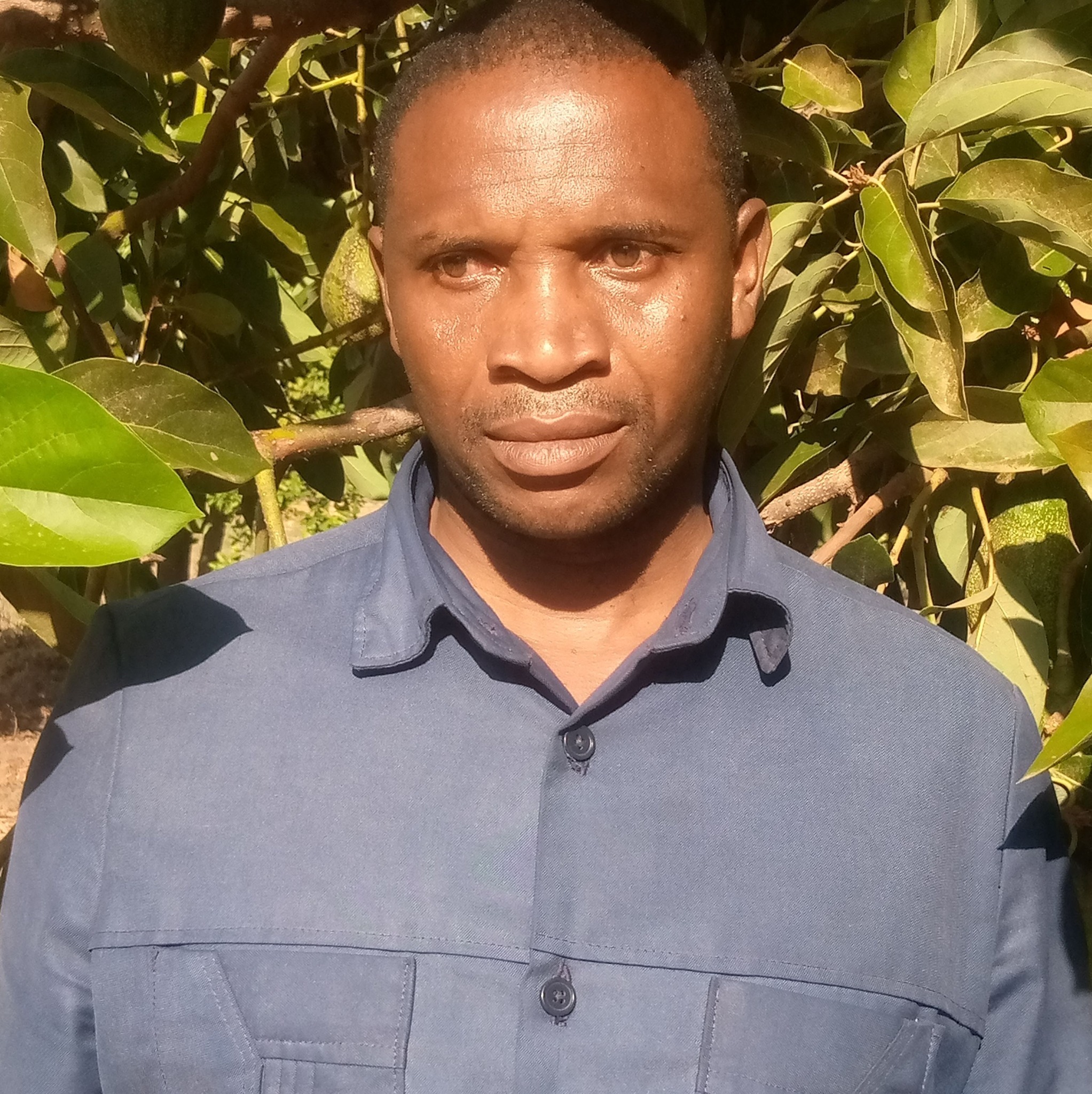 Kalambo FARM