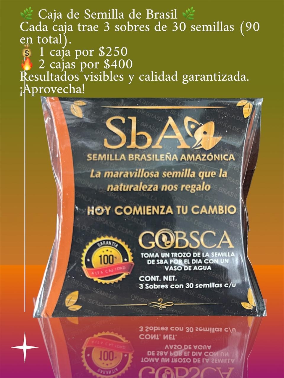 La original semilla de Brasil tabasqueña gobsca