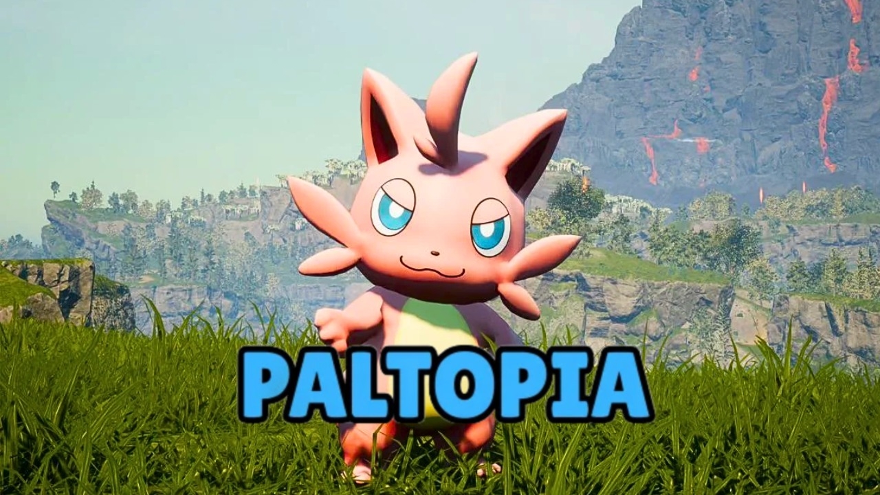 Paltopia