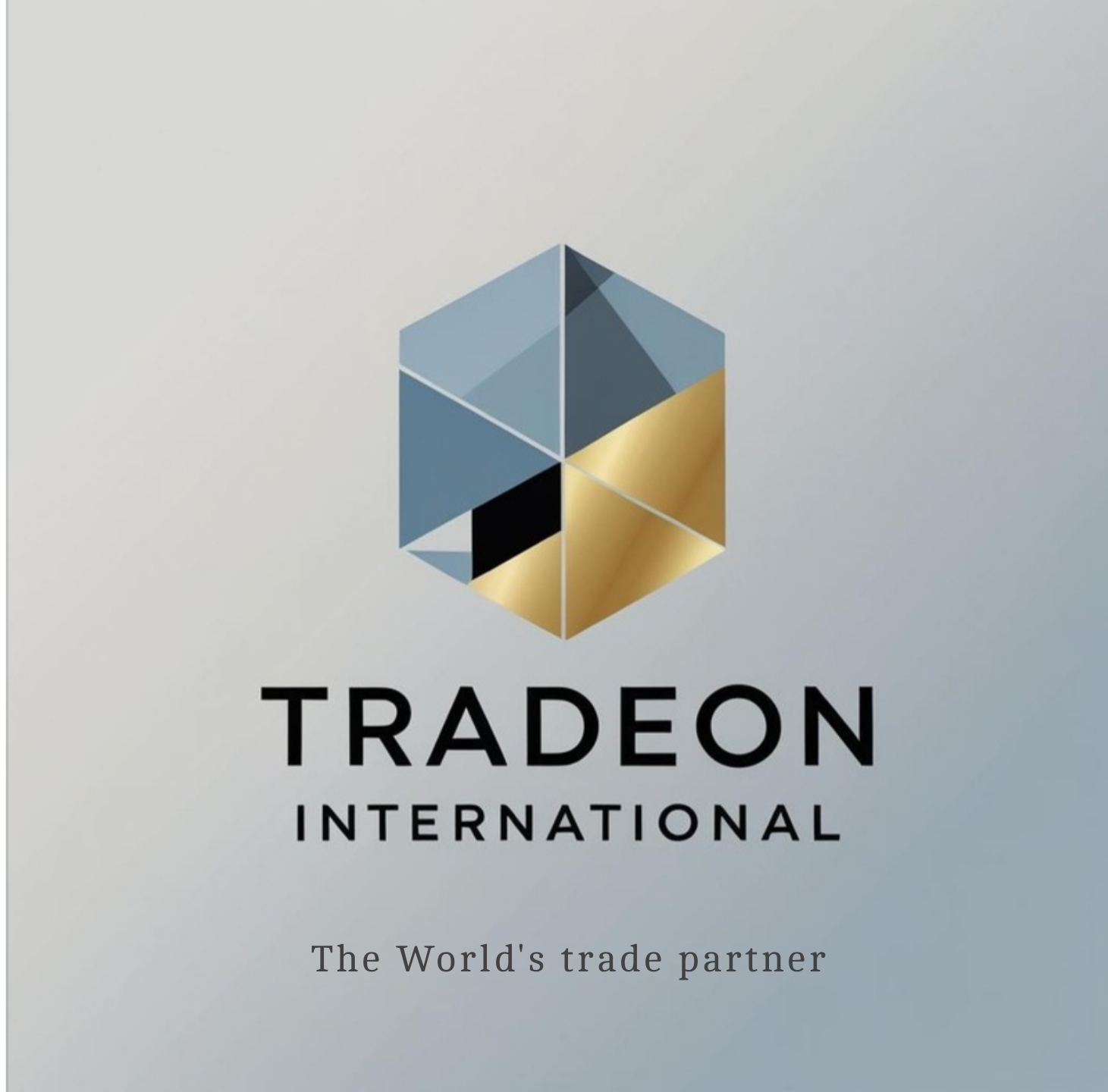 TradeOn International | Pune