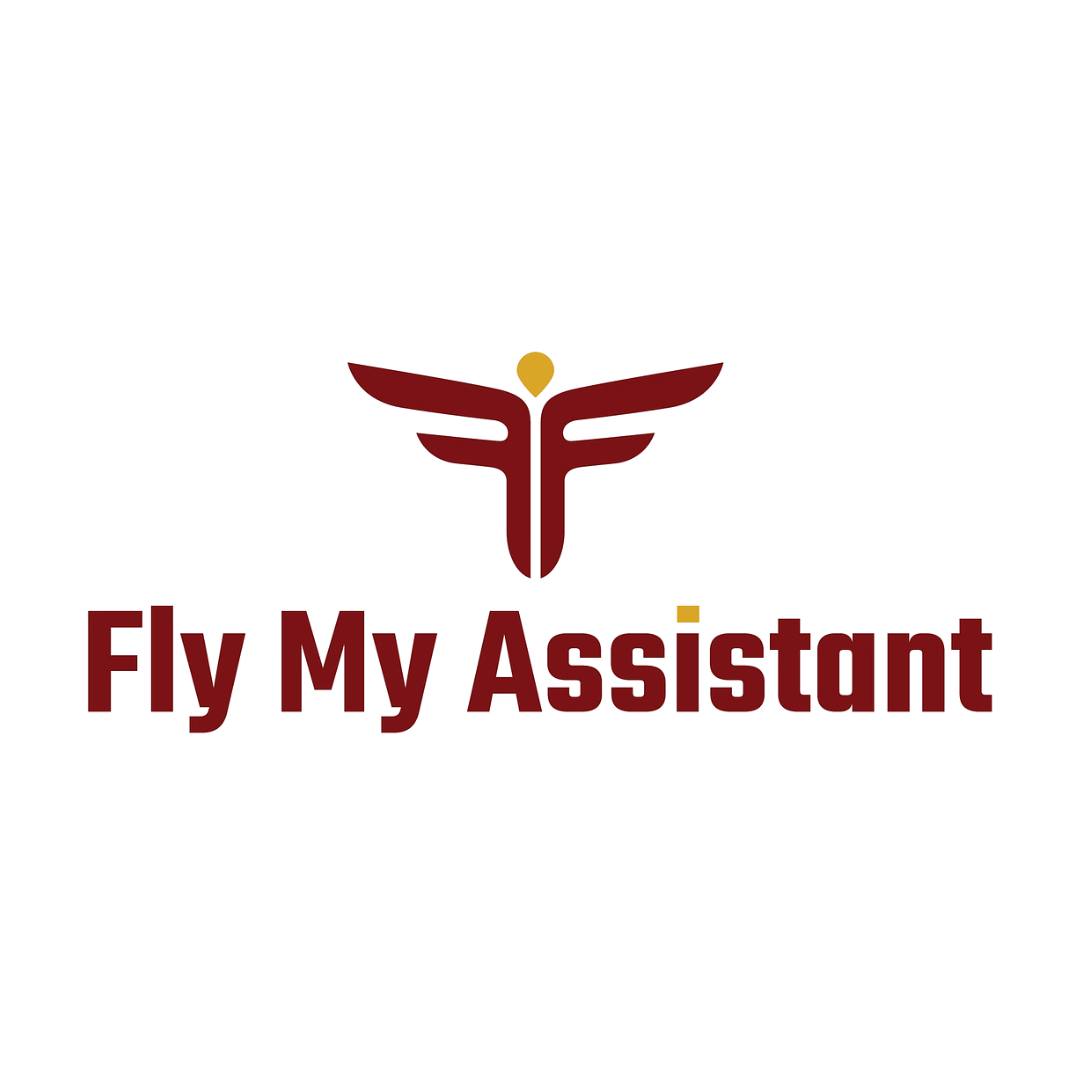 Fly My Assistant