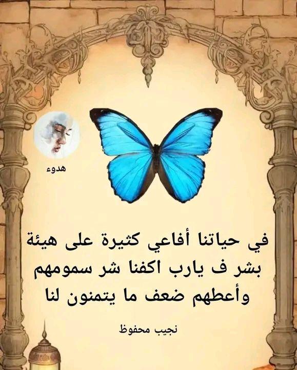 إعتزل ما يؤديك on Reels