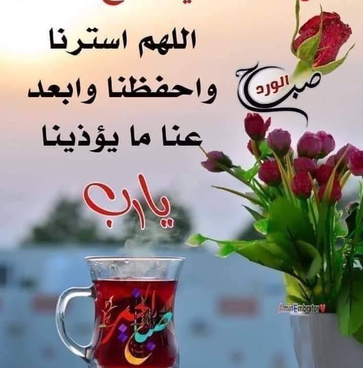 #عالم هاد #مستير بين🤣🤣🤣🤣 | Radi Boyahyaui | Facebook