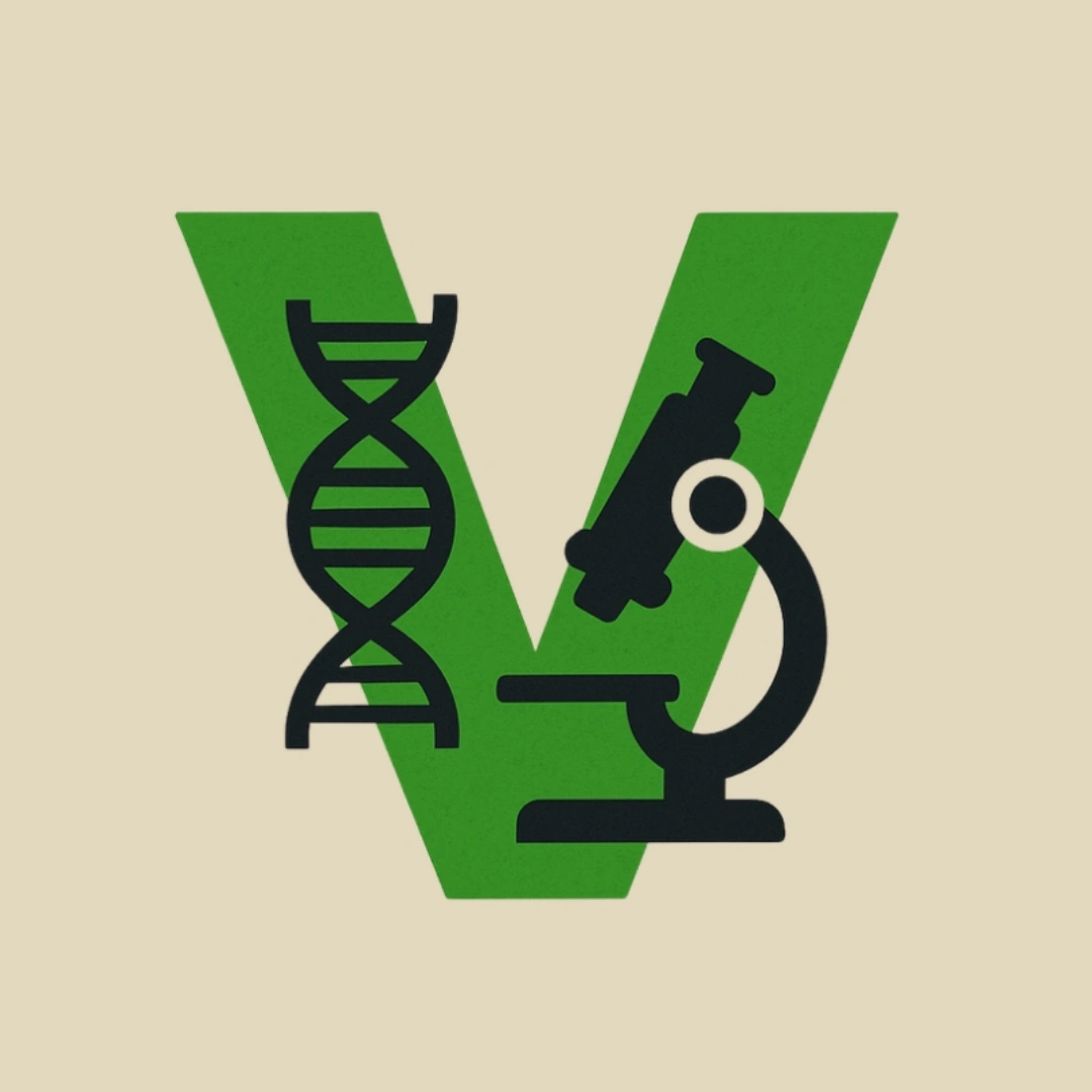 V-Files