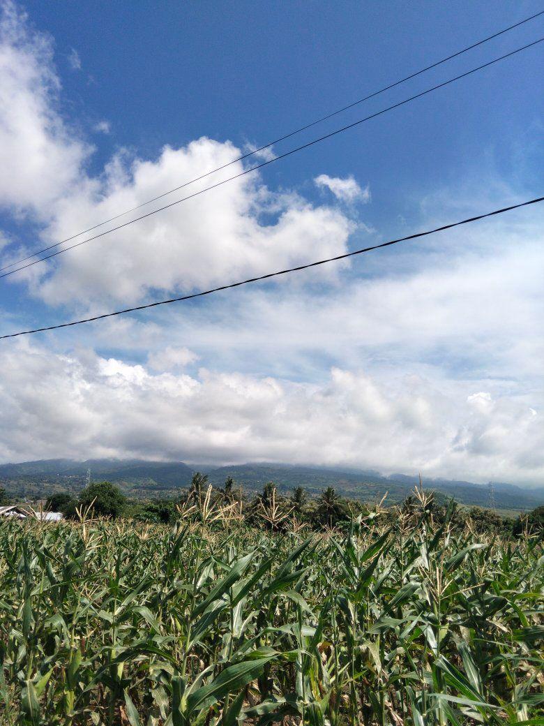 Assalamu'alaikum Warga Lombok Tengah. Sehubungan dengan penggunaan Web ...