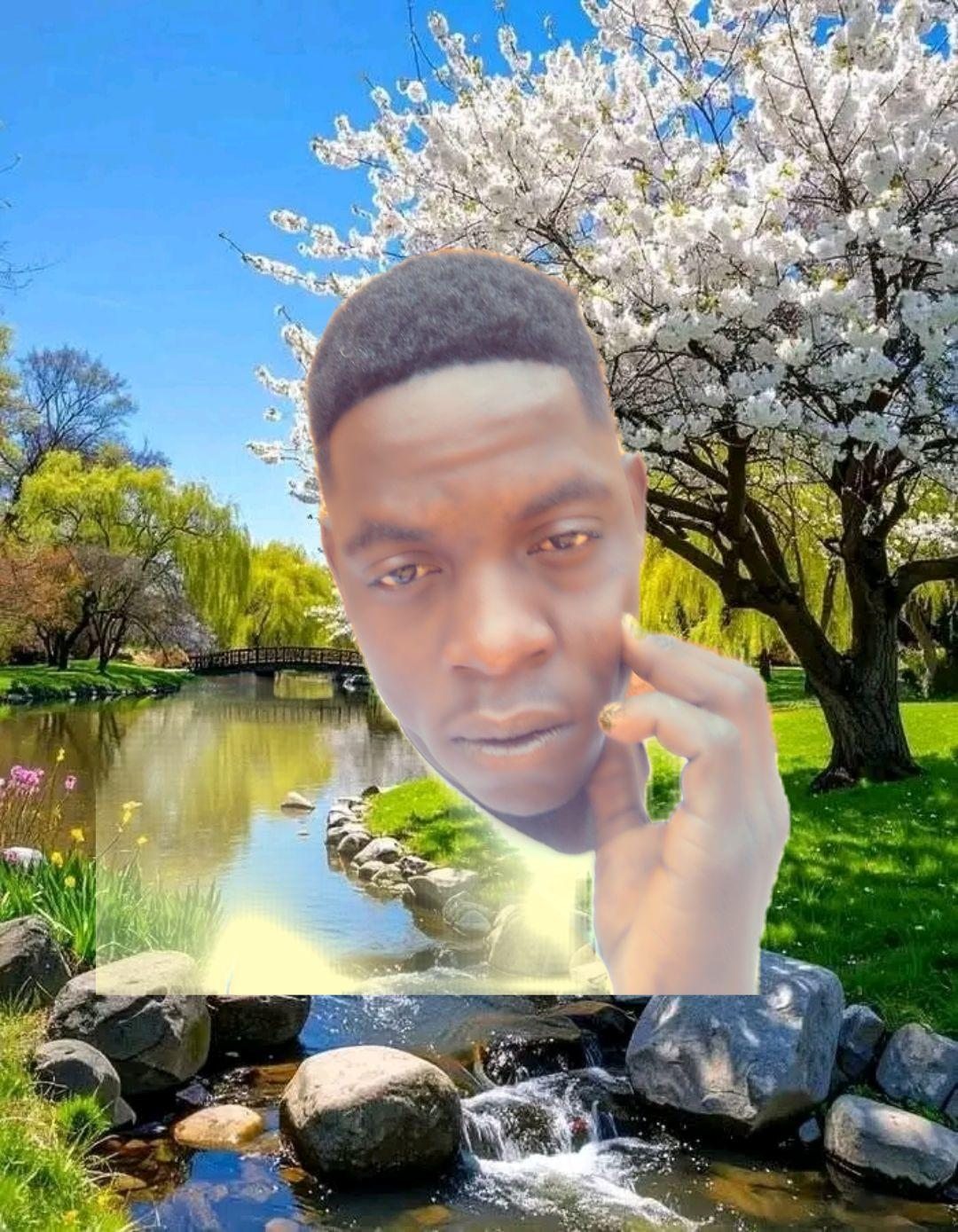 rei da sungura | Antonio Tholuela Tholuela