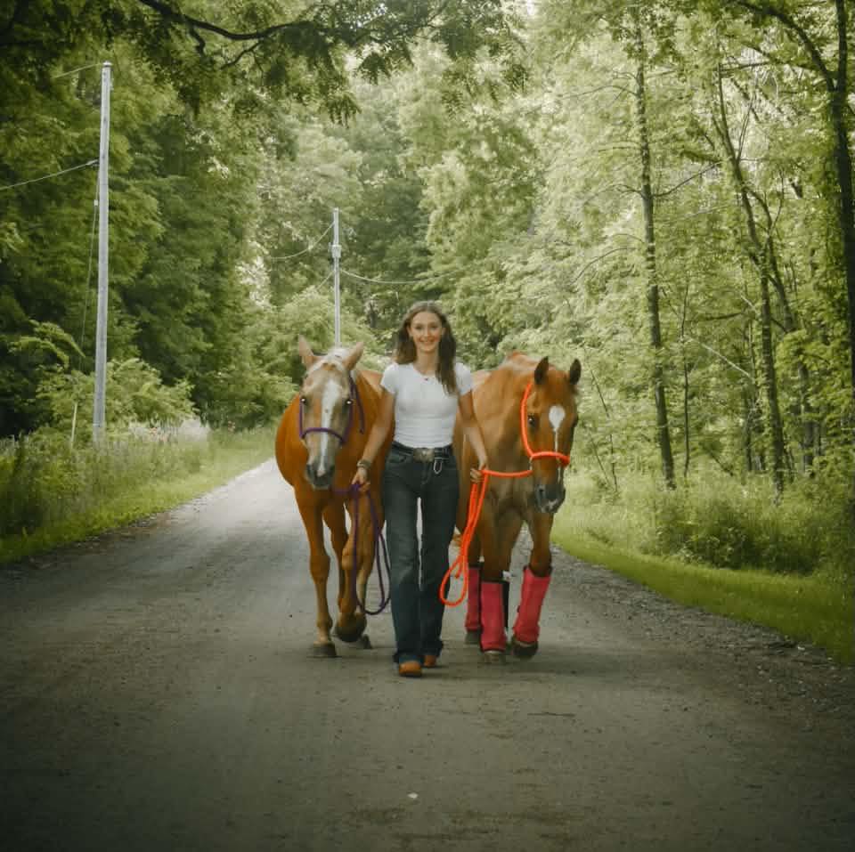 EM Performance Horses LLC | Clarksville MI