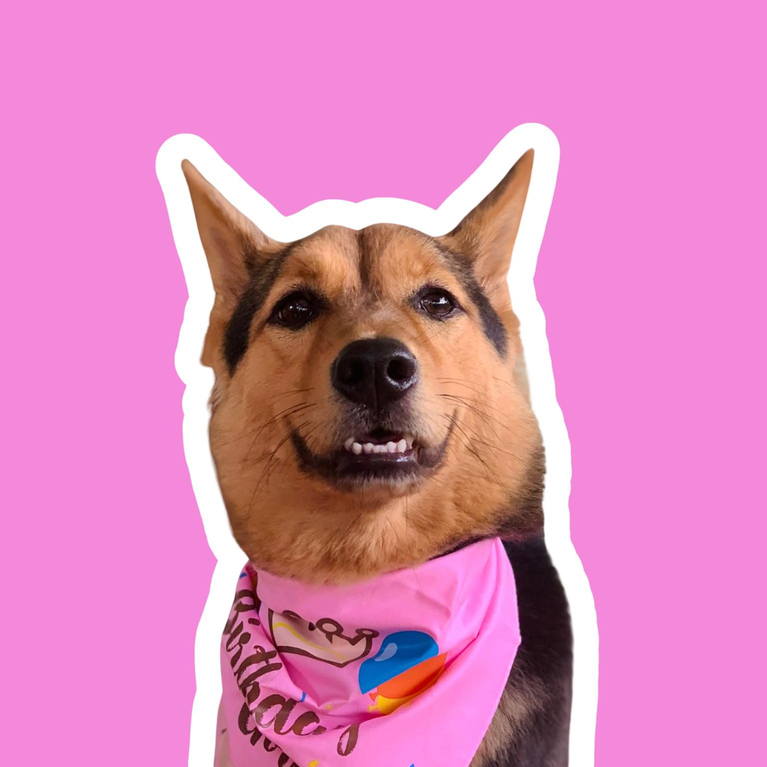Backy's Little Pawtopia | Gubat